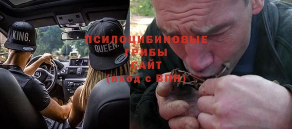 трава Губаха