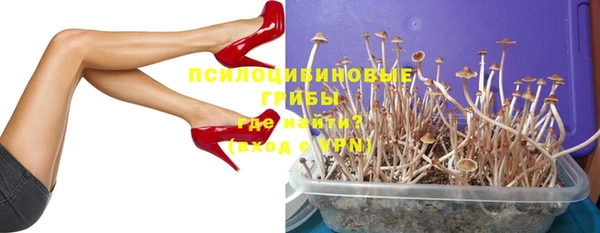 прущие крисы Покачи