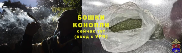 прущие крисы Покачи