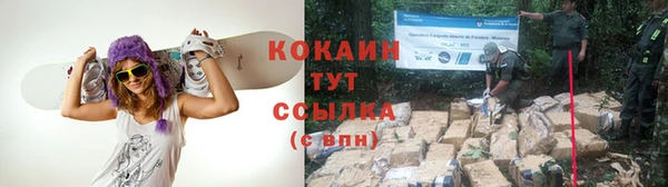 прущие крисы Покачи