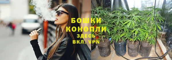 прущие крисы Покачи