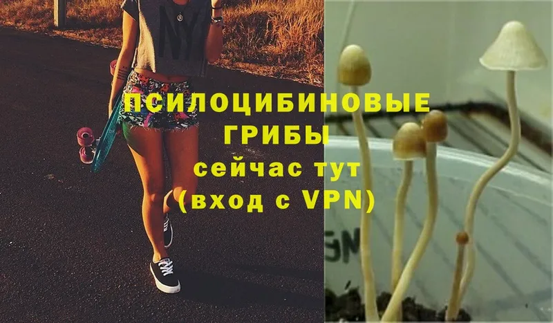 гидра вход  Артёмовск  Псилоцибиновые грибы MAGIC MUSHROOMS 